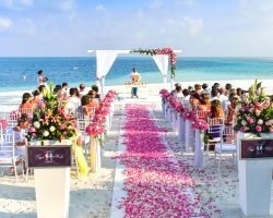 beach-wedding-ceremony